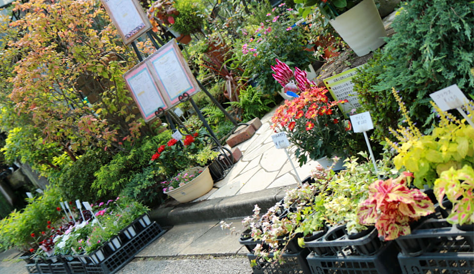 店頭の花苗と資材