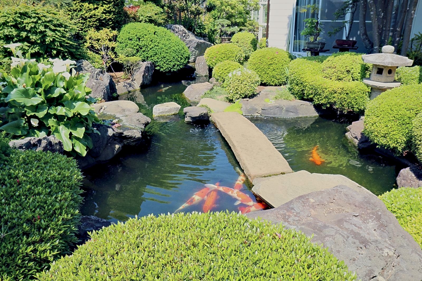 日本庭園・庭池施工