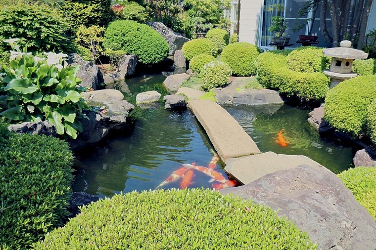日本庭園・庭池施工