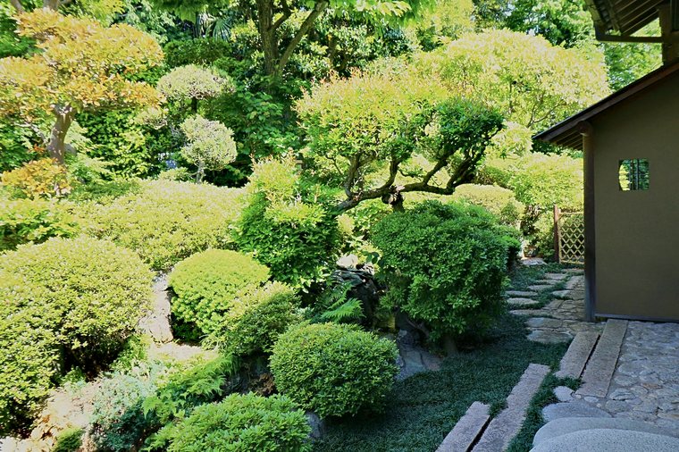 日本庭園・庭池施工
