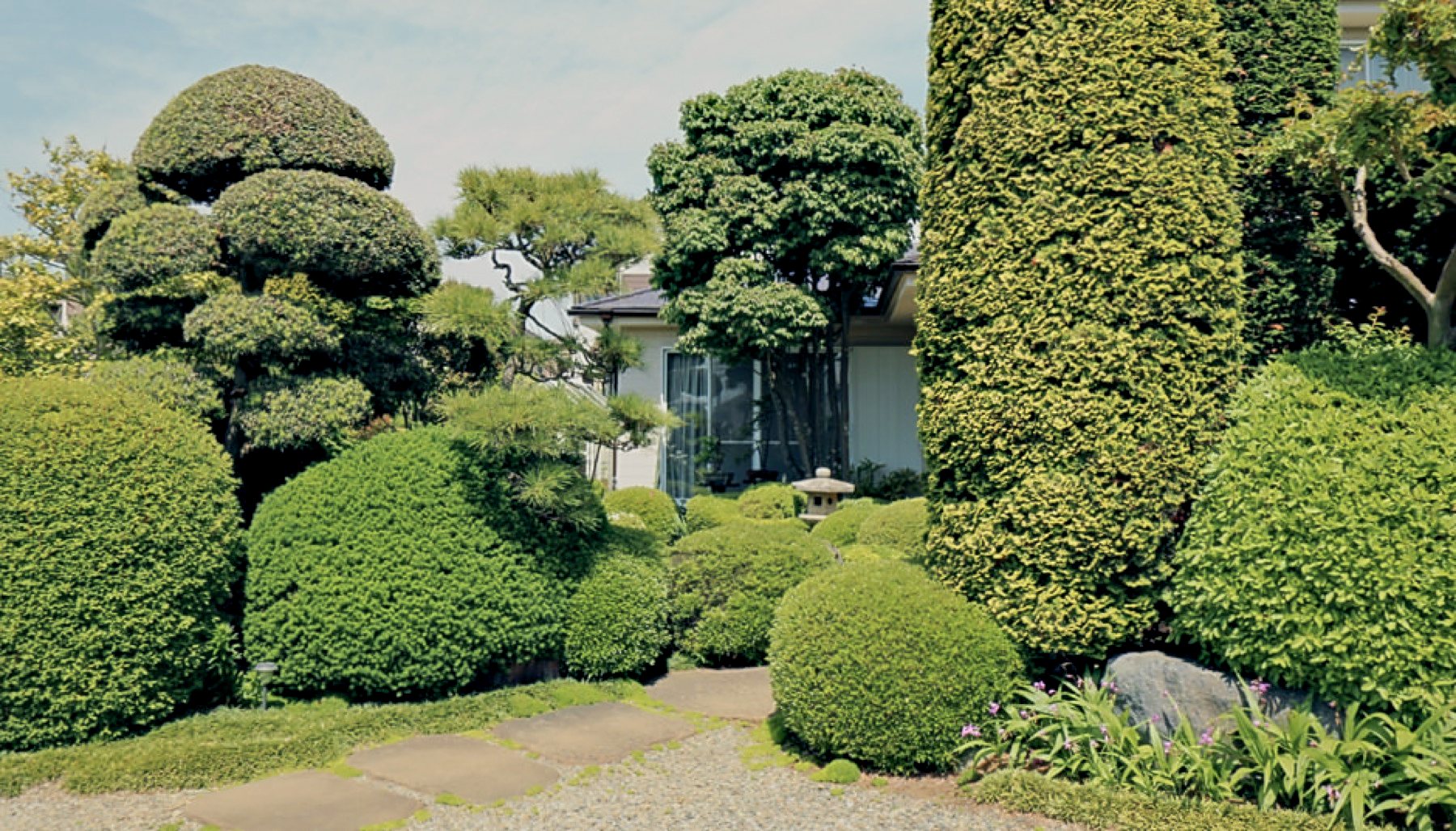 井戸水が澄ませる、鯉の池 写真7