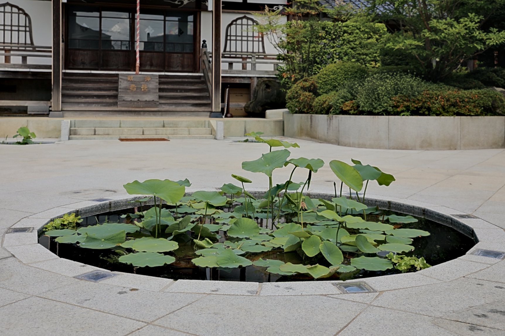 古刹・長福寺の茶庭 写真15